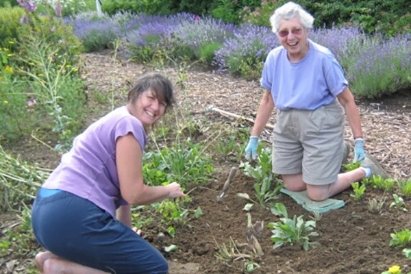 Volunteers in the herb garden at Enfield Shaker Museum