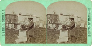 Stereoview of Canterbury, NH Shaker Village - The Apiary.