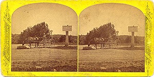 Stereoview of Canterbury, NH Shaker Village - George Clark with Old Fox.