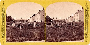 Stereoview of Canterbury, NH Shaker Village - Flower Garden with Mary and two little boys.