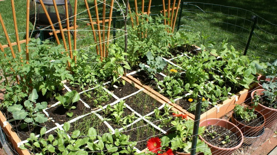 Square Foot Gardening Beds