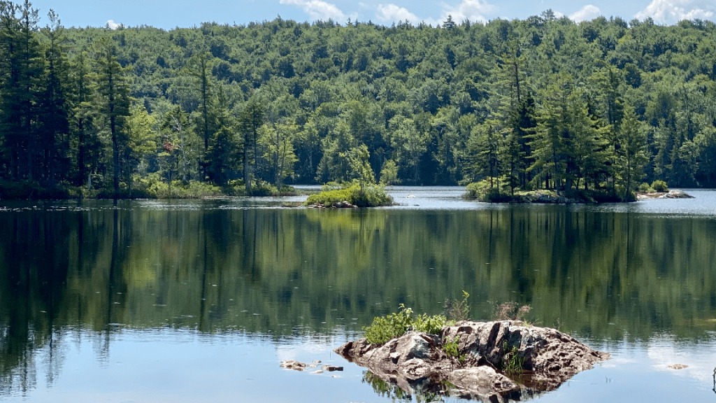 Hike to Smith Pond Enfield Shaker Museum