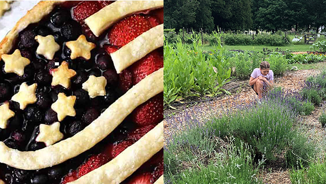 July 4th Pie Sale and Garden Opening