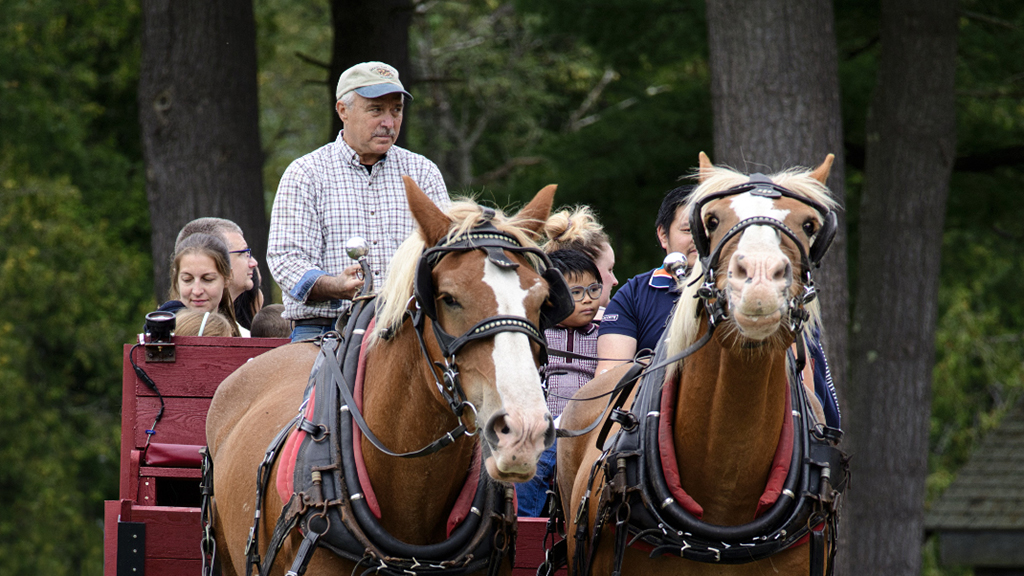 Horse Drawn Hayride